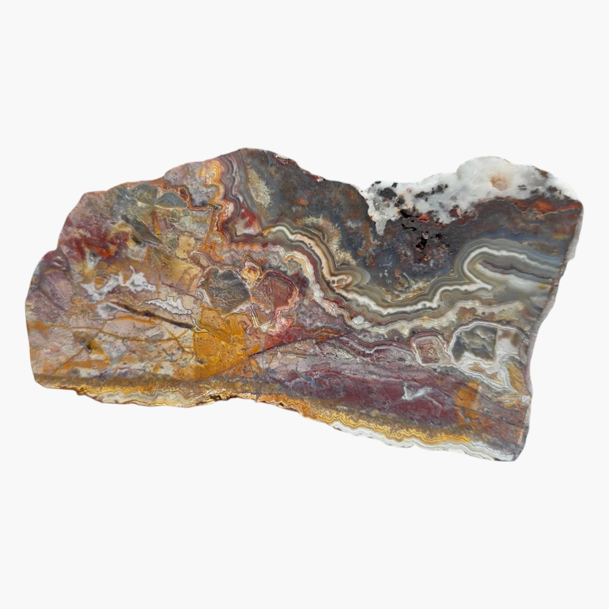 Crazy Lace Agate Slab – Laguna Red & Bold Lace Pattern