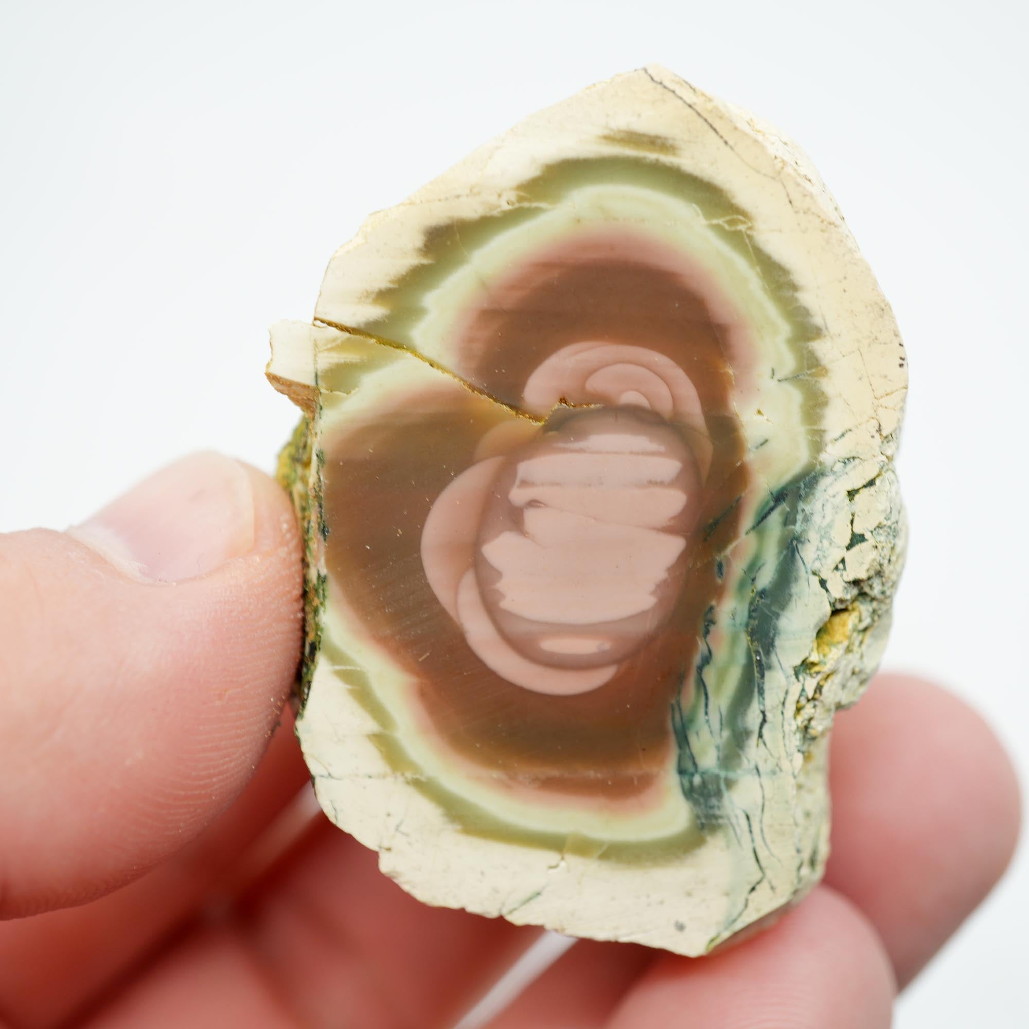 Royal Imperial Jasper Rough - Orbicular Pattern with Creamy Pink