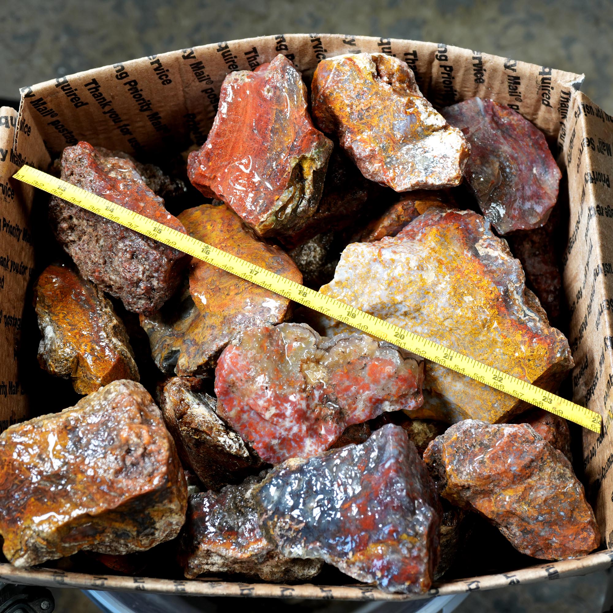 San Carlos Agate Rough Flatrate - 24 lb Mixed Cutter Box