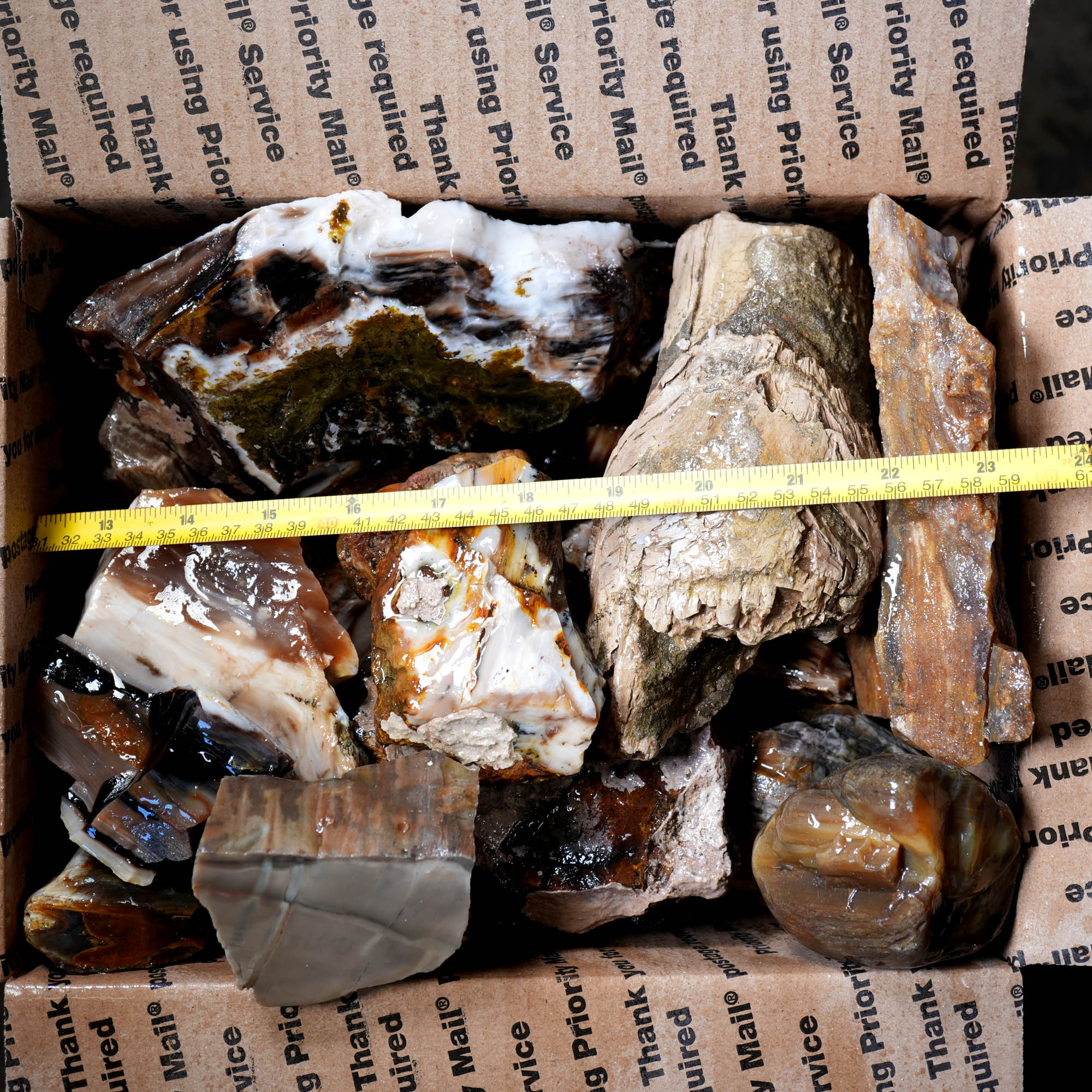 Saddle Mountain Petrified Wood Flatrate - Great Pattern and Wood Structure