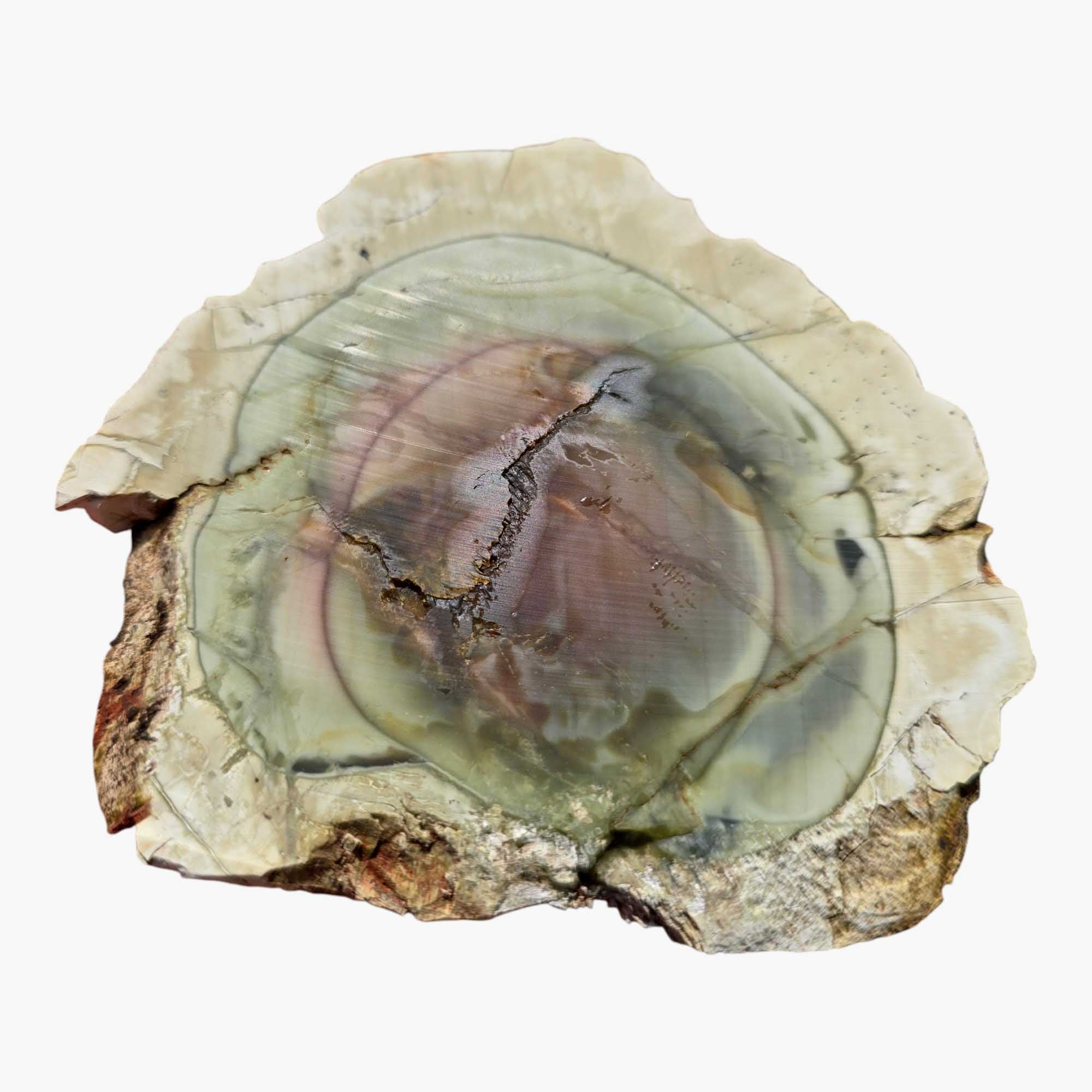 Royal Imperial Jasper Slab Lapidary Stone Slice Cut Rock