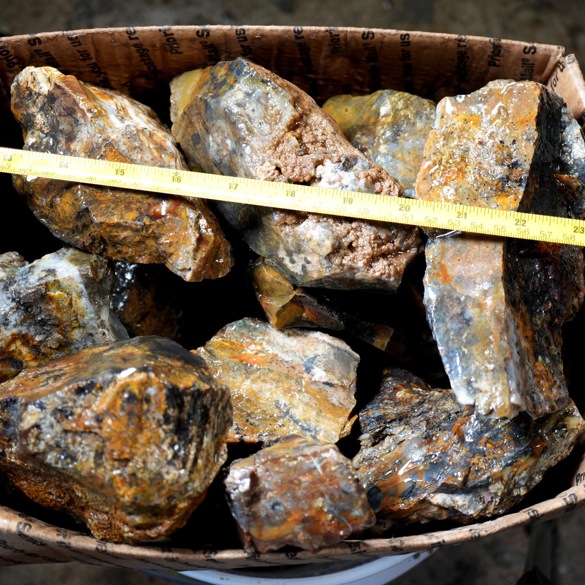 Ochoco Sunset Jasper Rough Flatrate - Rare Oregon Variety Box