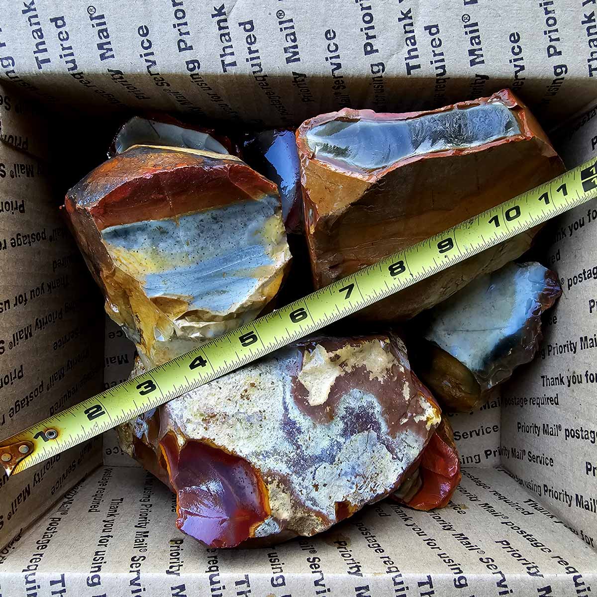 Polychrome Jasper Cutting Rough Flatrate!