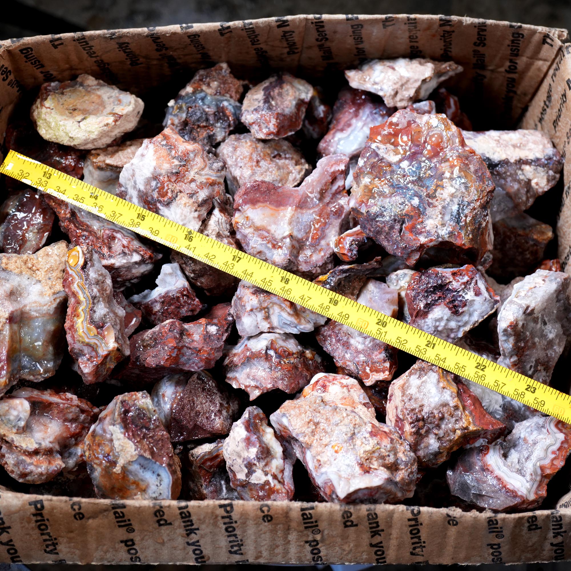 Crazy Lace Agate Tumbling Rough Flatrate - Premium Lace Mexican