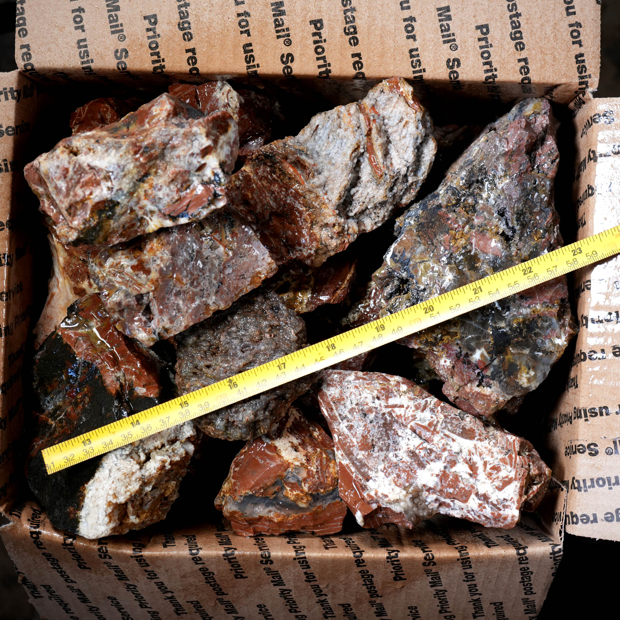 Eagle Rock Plume Agate Rough Flatrate - Multiple Varieties