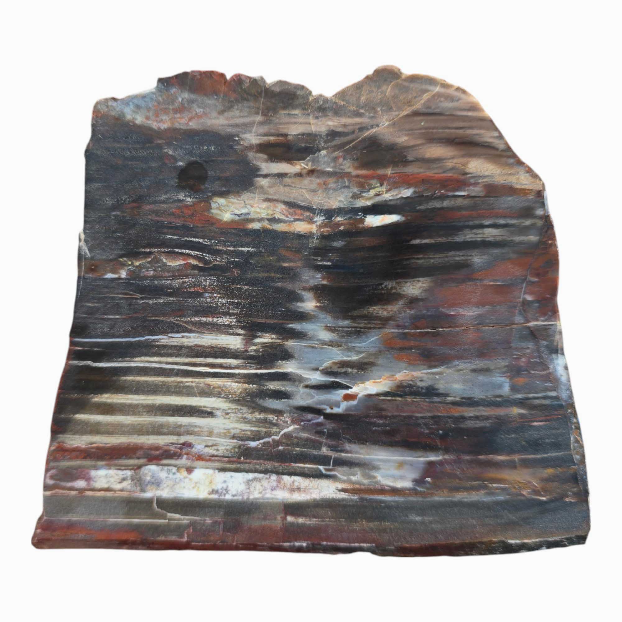 Mystery Petrified Wood Slab – Earthy Fossil Wood Polished Wet #3528-Photo4